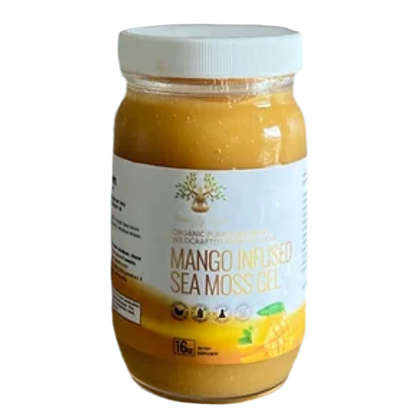 Organic Mango Infused Sea Moss Gel 8oz