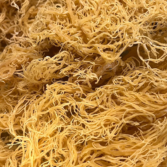 Raw Gold Seamoss 4 oz